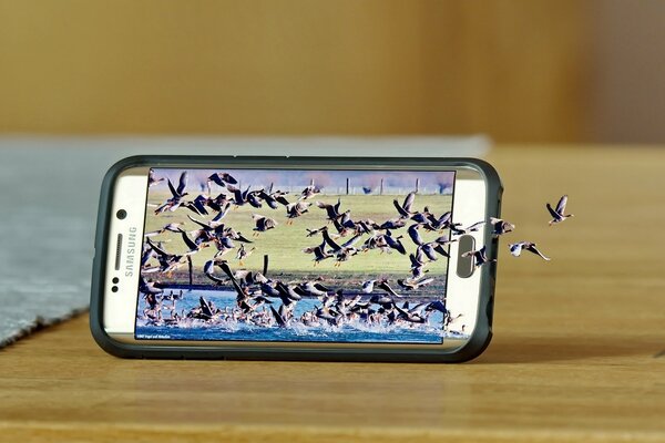Samsung gelaxi con la imagen de la naturaleza en la pantalla