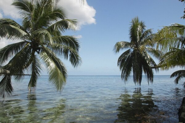 Isla tropical en el océano con palmeras sobre el agua, cielos despejados y rayos de sol