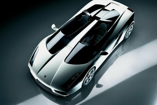 Lamborghini Silver metalic vista superior