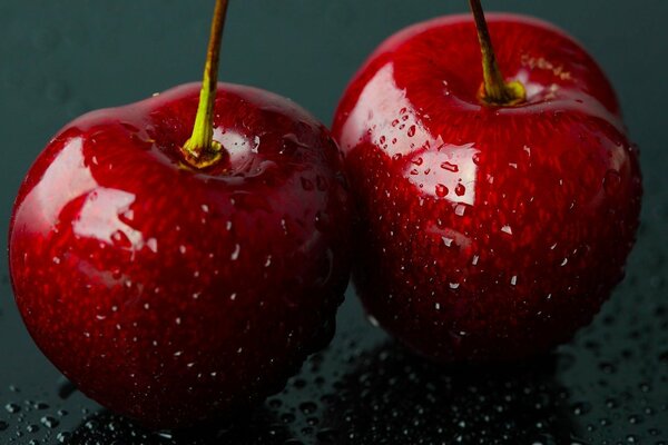 Frutas de las bayas de la cereza con gotas de agua en aumento