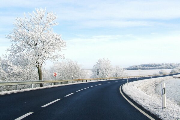 Paisaje de pista de nieve con árboles