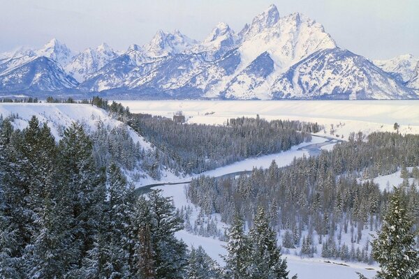 Montañas cubiertas de nieve y bosques