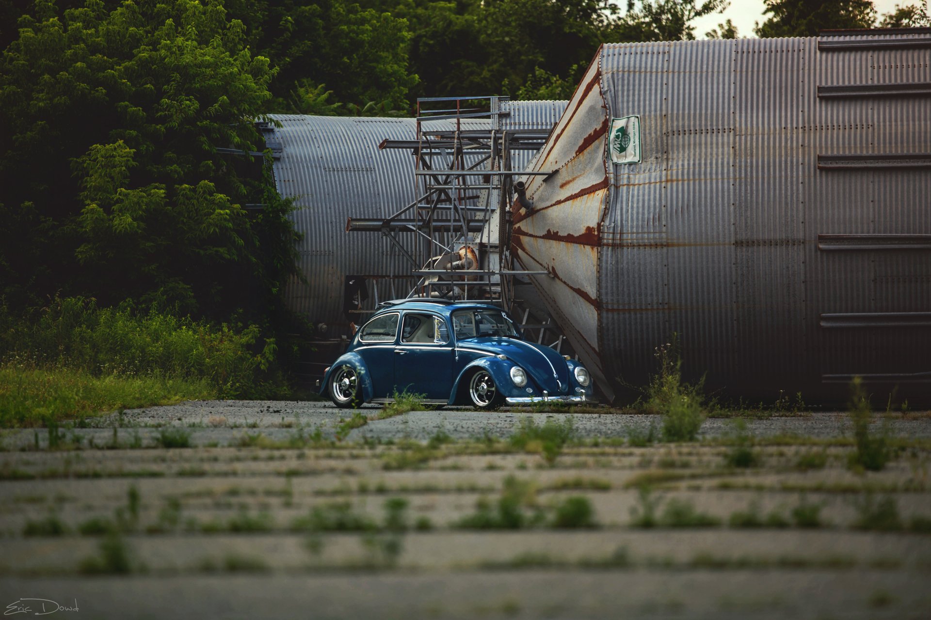 volkswagen vw escarabajo
