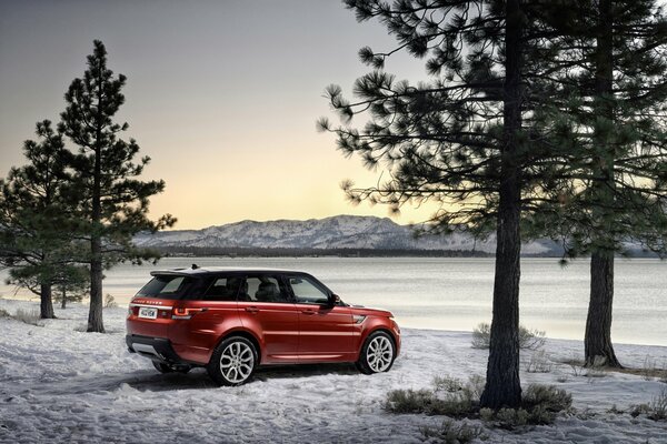 Red Land Rover en el bosque de invierno