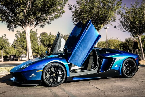 Lamborghini azul cerca de los árboles