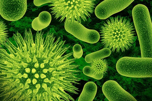 Los microorganismos verdes definirán el futuro de la biología