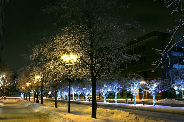 Paseo del viento de invierno por la avenida de la nieve