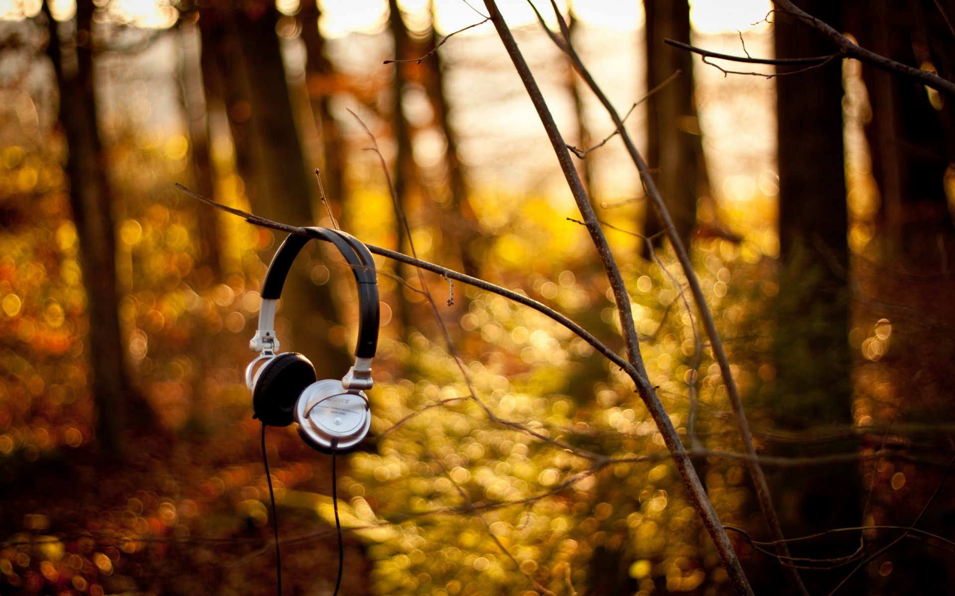 auriculares sony bosque ramas