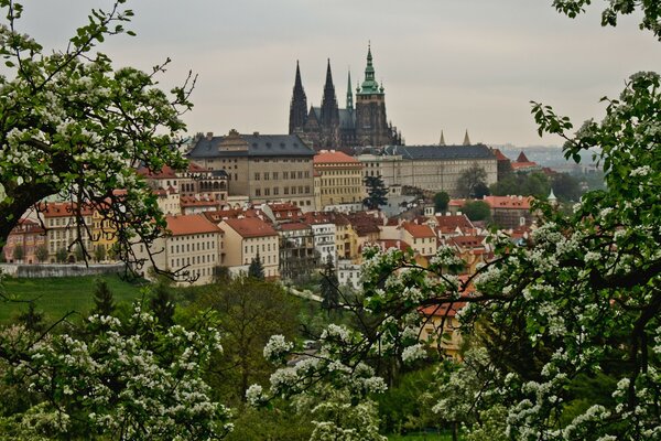 Vista panorámica del edificio de la República Checa en primavera