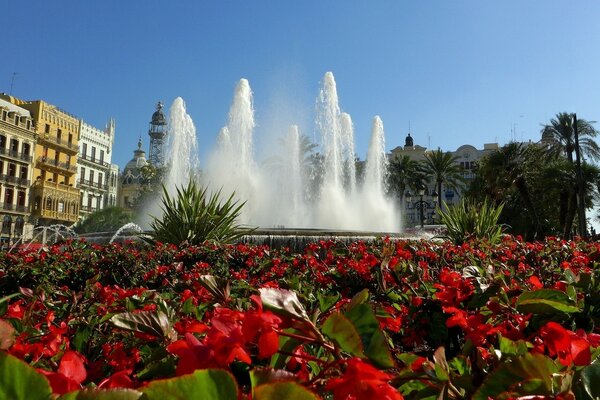 Hermosa fuente detrás de flores rojas brillantes