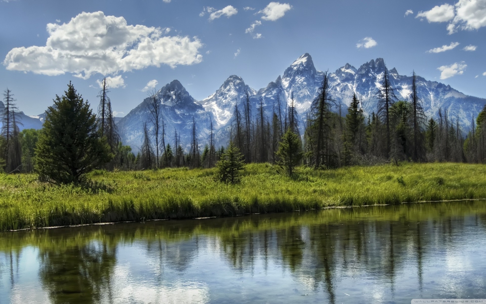 naturaleza montañas parque wyoming palmeras bosque río nubes
