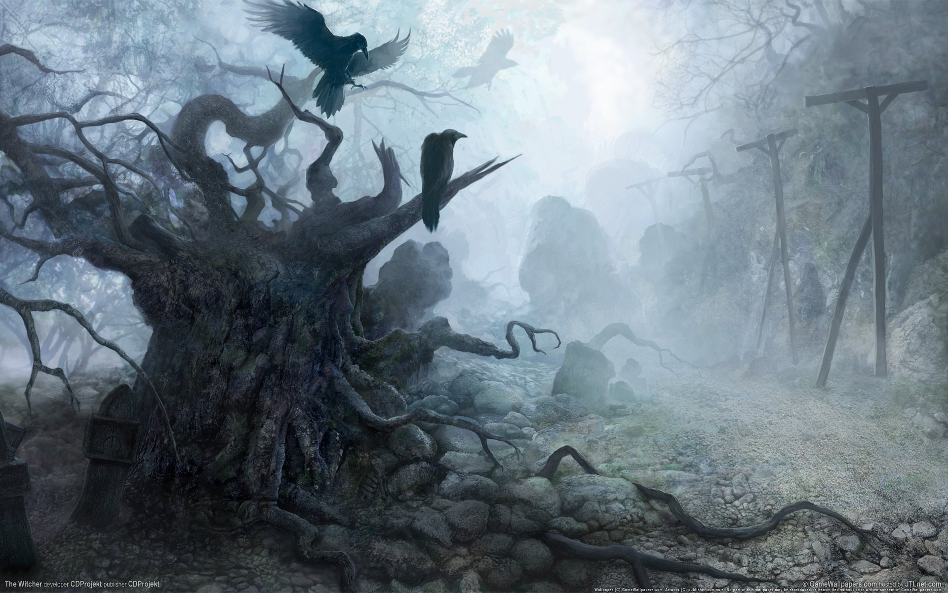 piedras cuervos oscuridad figura the witcher niebla