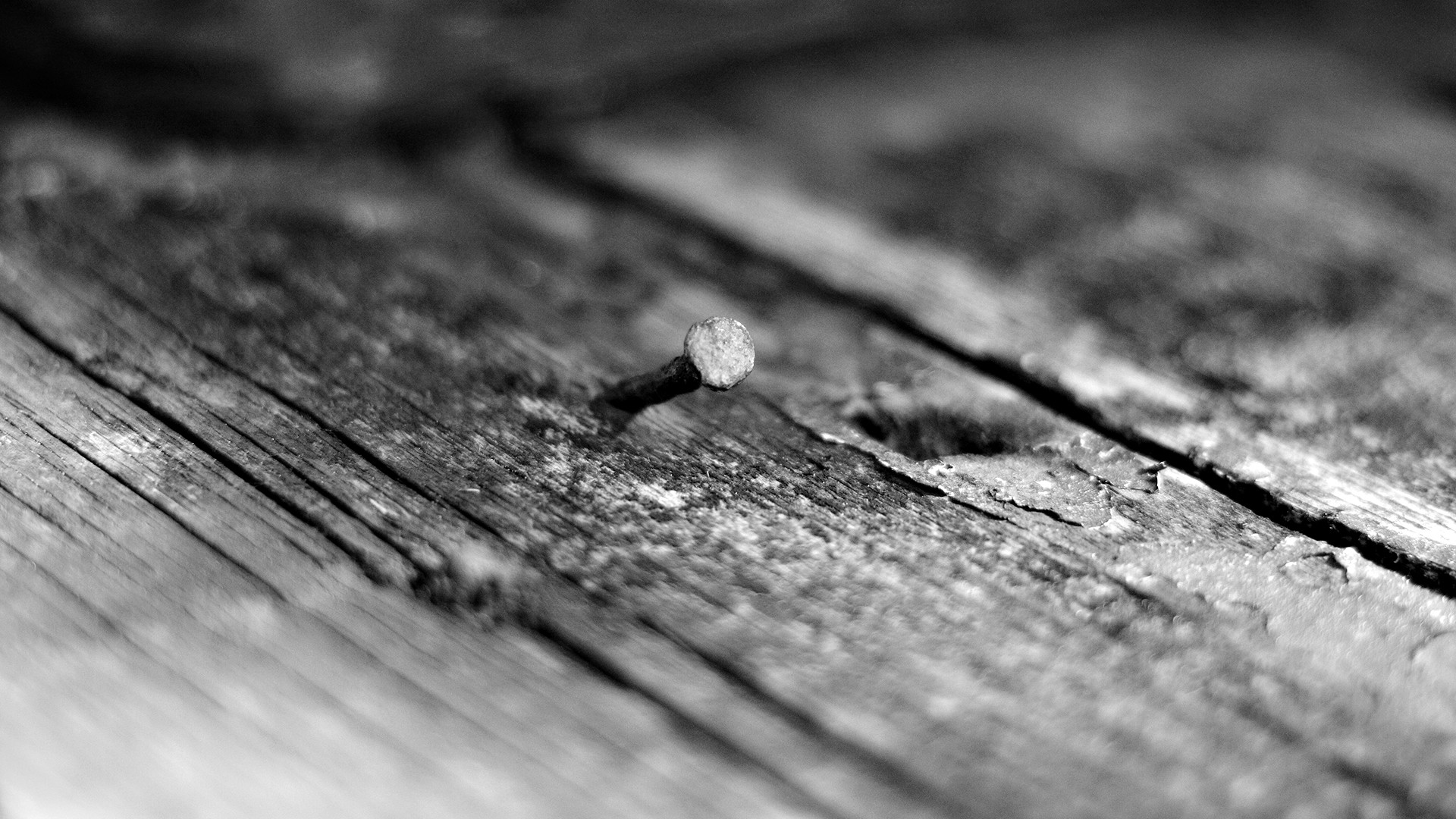 clavo blanco negro piso