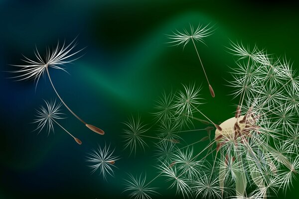 Crear animaciones, anamaciones 3D, dibujos, títulos para su sitio web