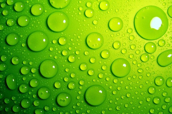 Gotas de agua aproximadas en el fondo