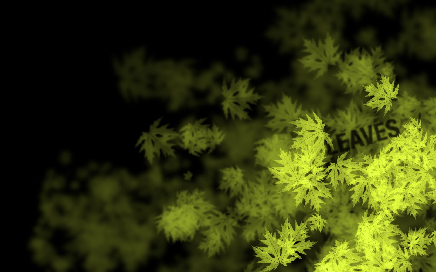 hojas arce letras amarillo fondo negro verde fondo oscuro patrón palabra textura arce