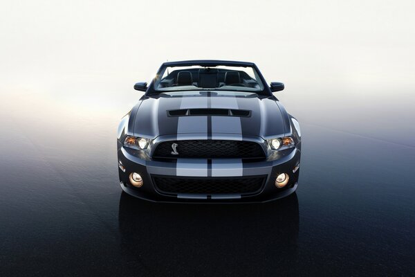Sólo Ford Shelby dt 500 y nada más