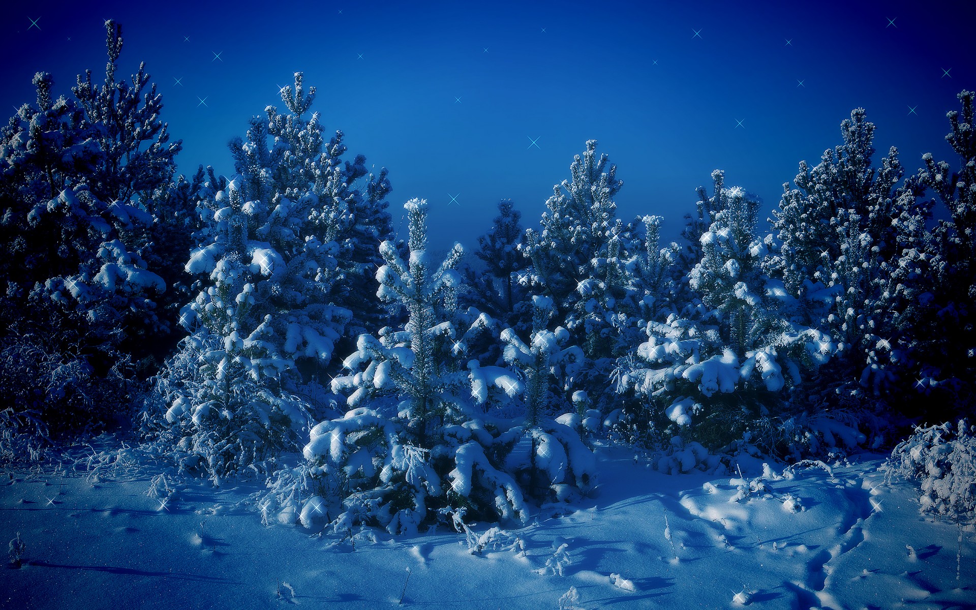 árboles de navidad nieve invierno árboles azul