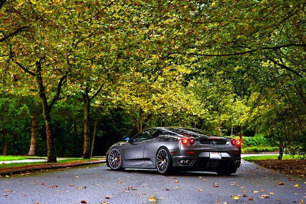 Ferrari de plata en la carretera de otoñoazul