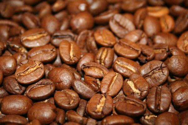 Muchos granos de café a granel
