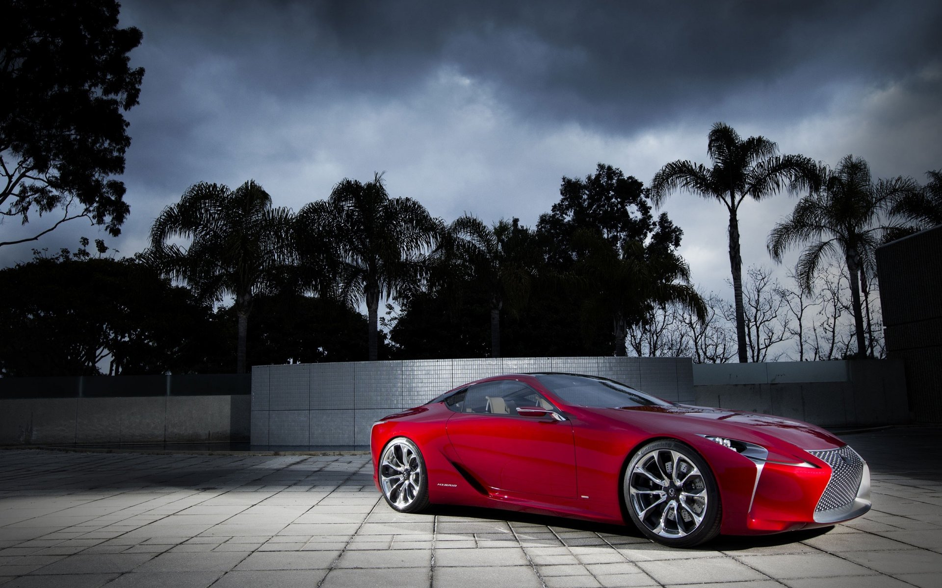lexus noche palmeras luz