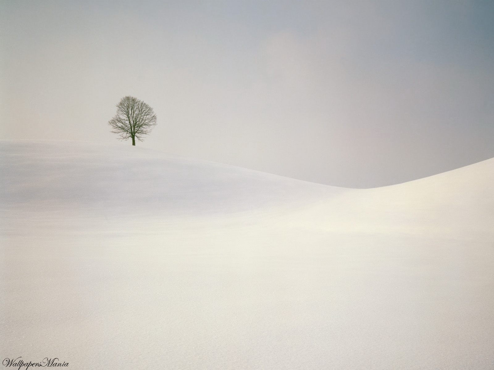 minimalismo madera colinas