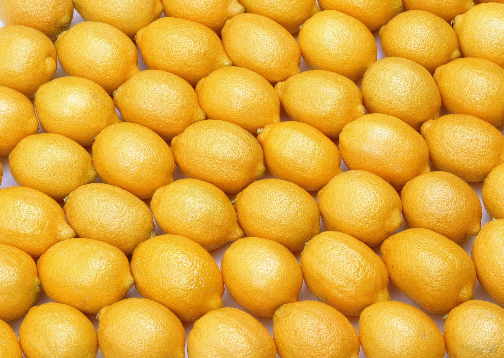 fondo limón cítricos