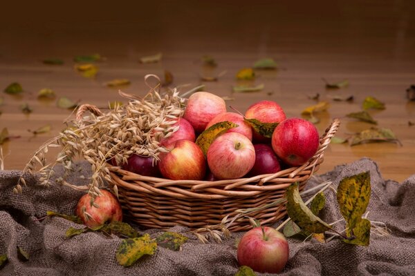 Otoño Bodegón manzanas en la cesta