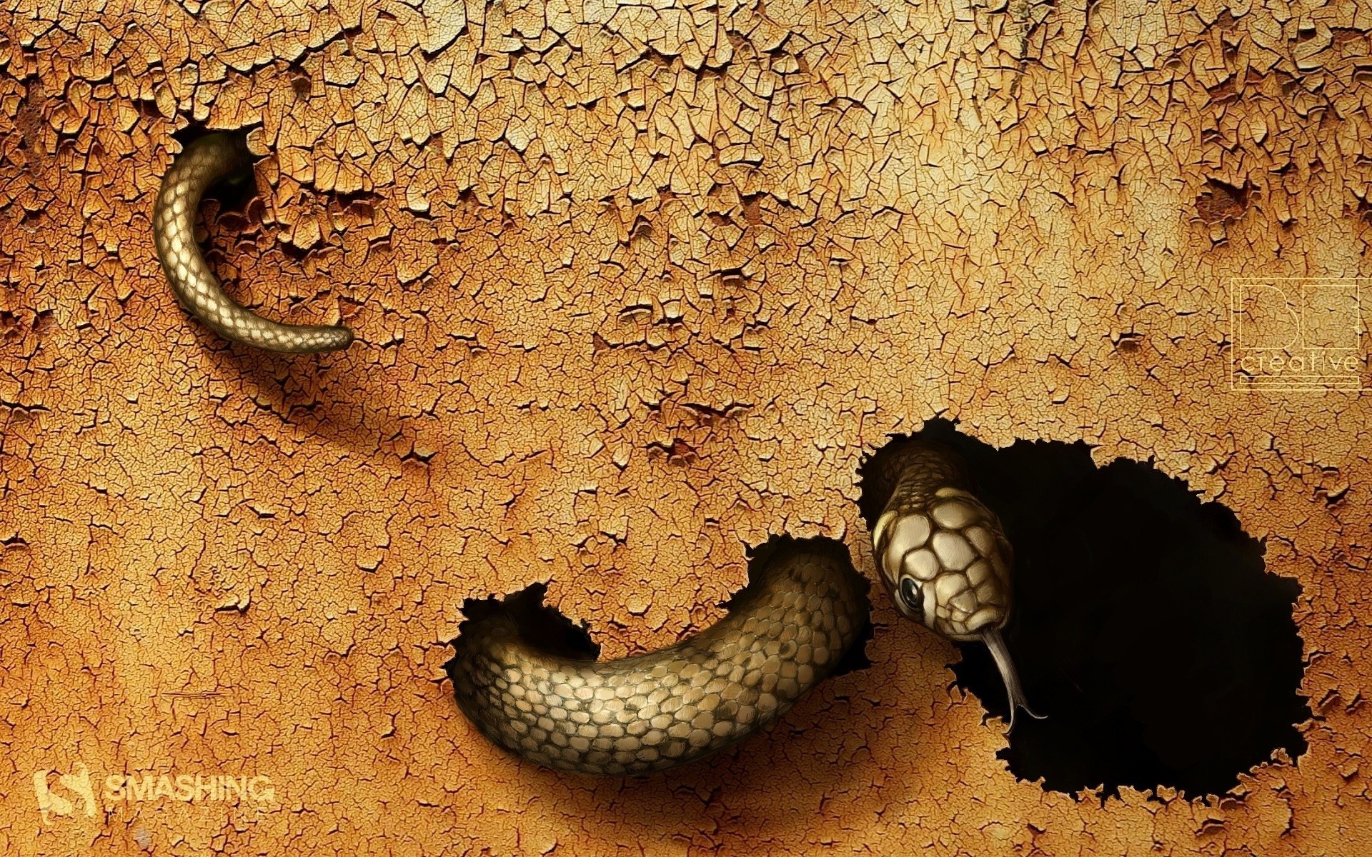textura gráficos serpiente