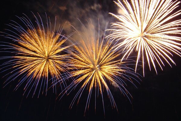 Viva la noche con fuegos artificiales