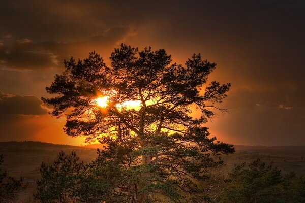 Hermosa puesta de sol por la noche