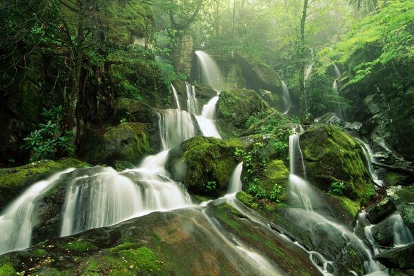 Cascada larga sobre rocas en el bosque
