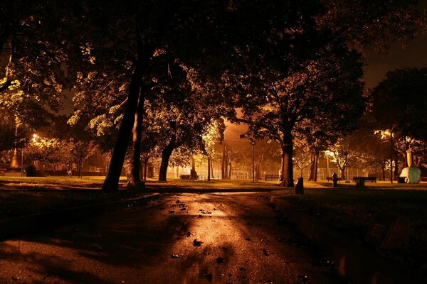 Parque oscuro en la noche a la luz de las linternas