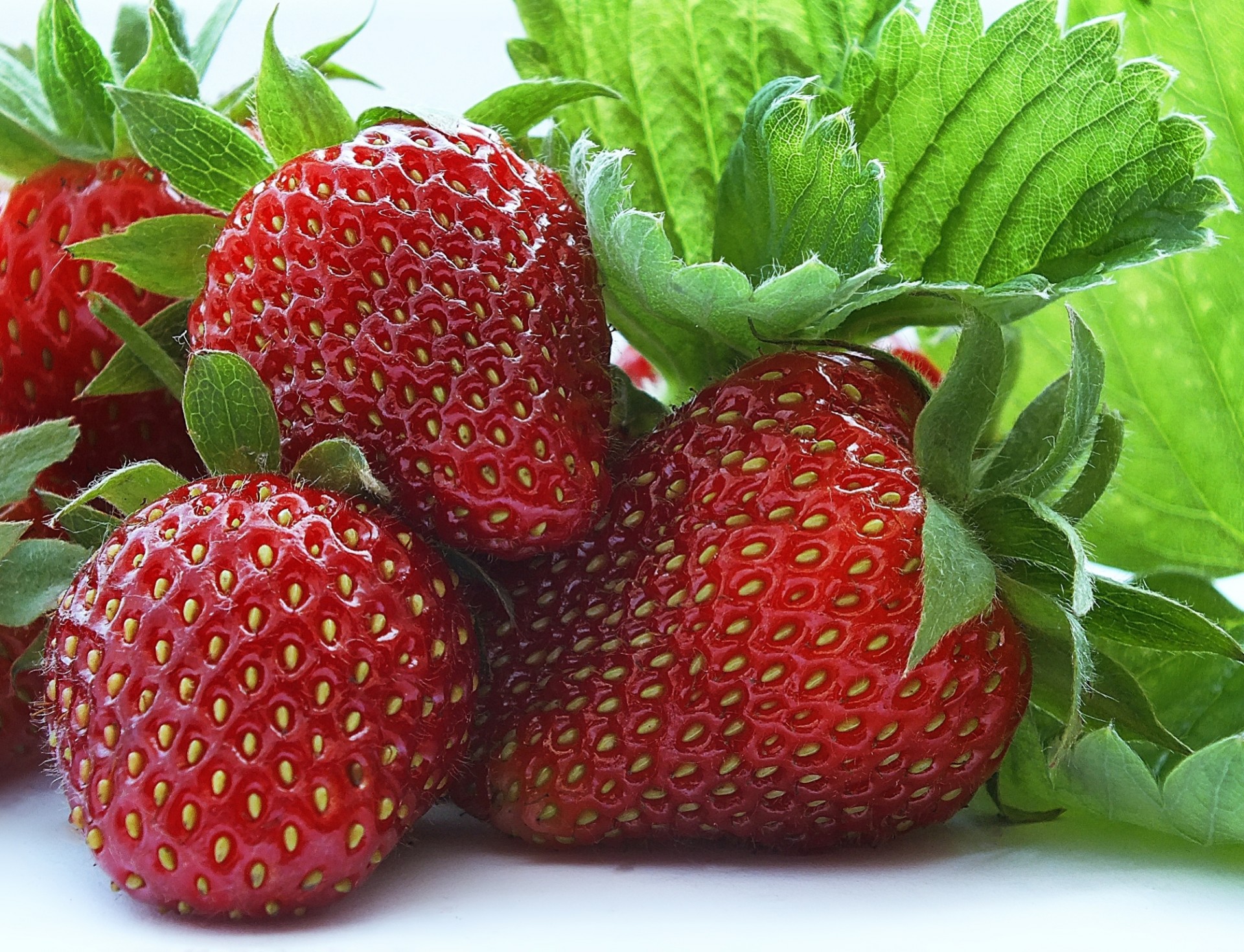 macro bayas fresas