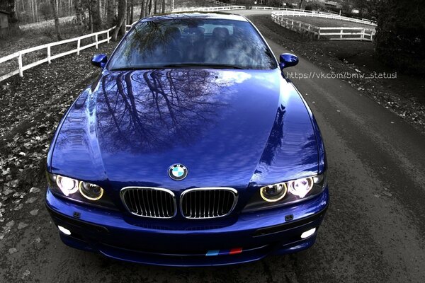 Hermoso BMW azul en el parque de otoño