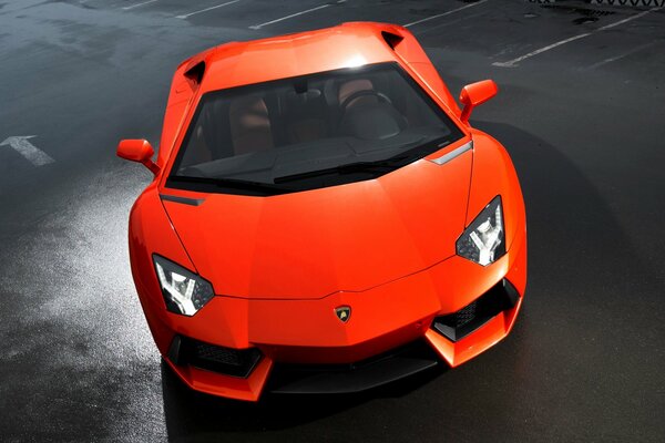 Coche deportivo naranja venenoso aventador lp700-4