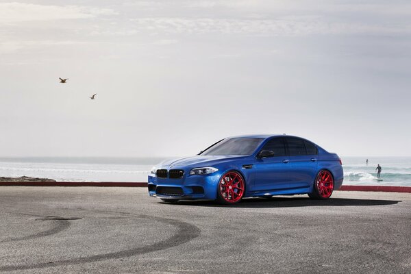 BMW azul en la costa del desierto
