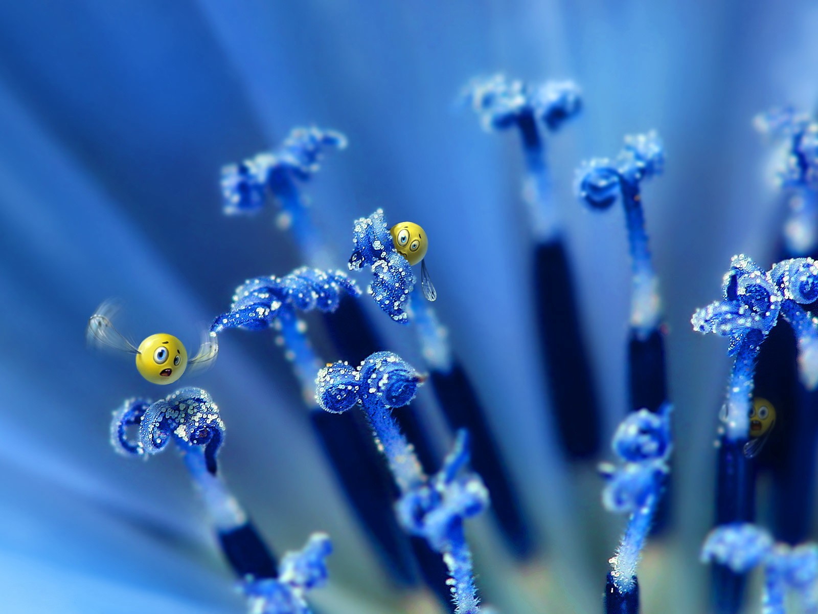 sonrisas flor azul