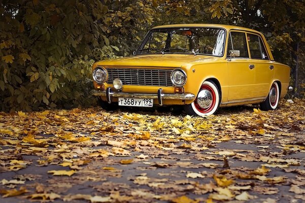 Clásicos retro en hojas de otoño