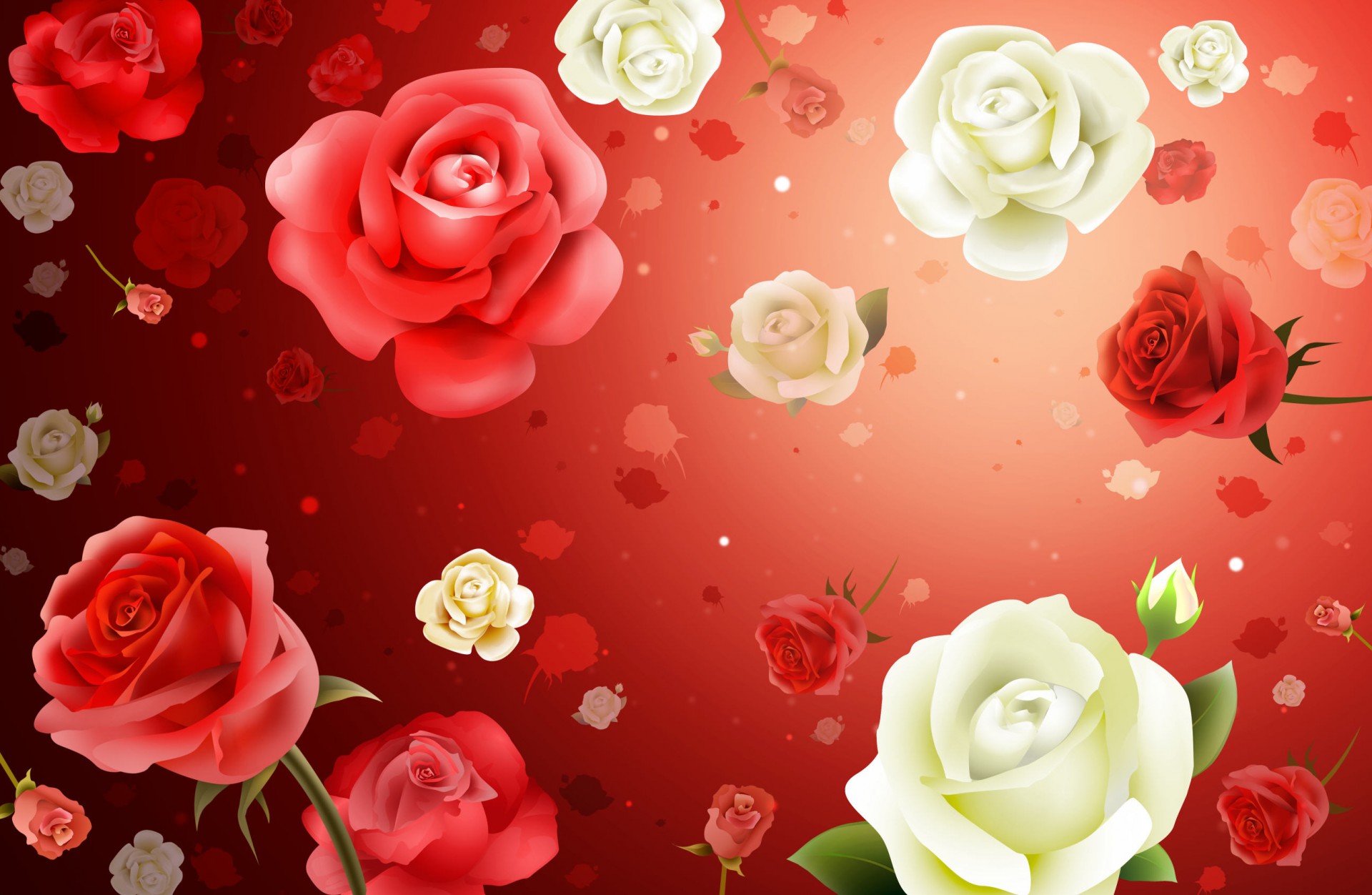 fondo rosas flores