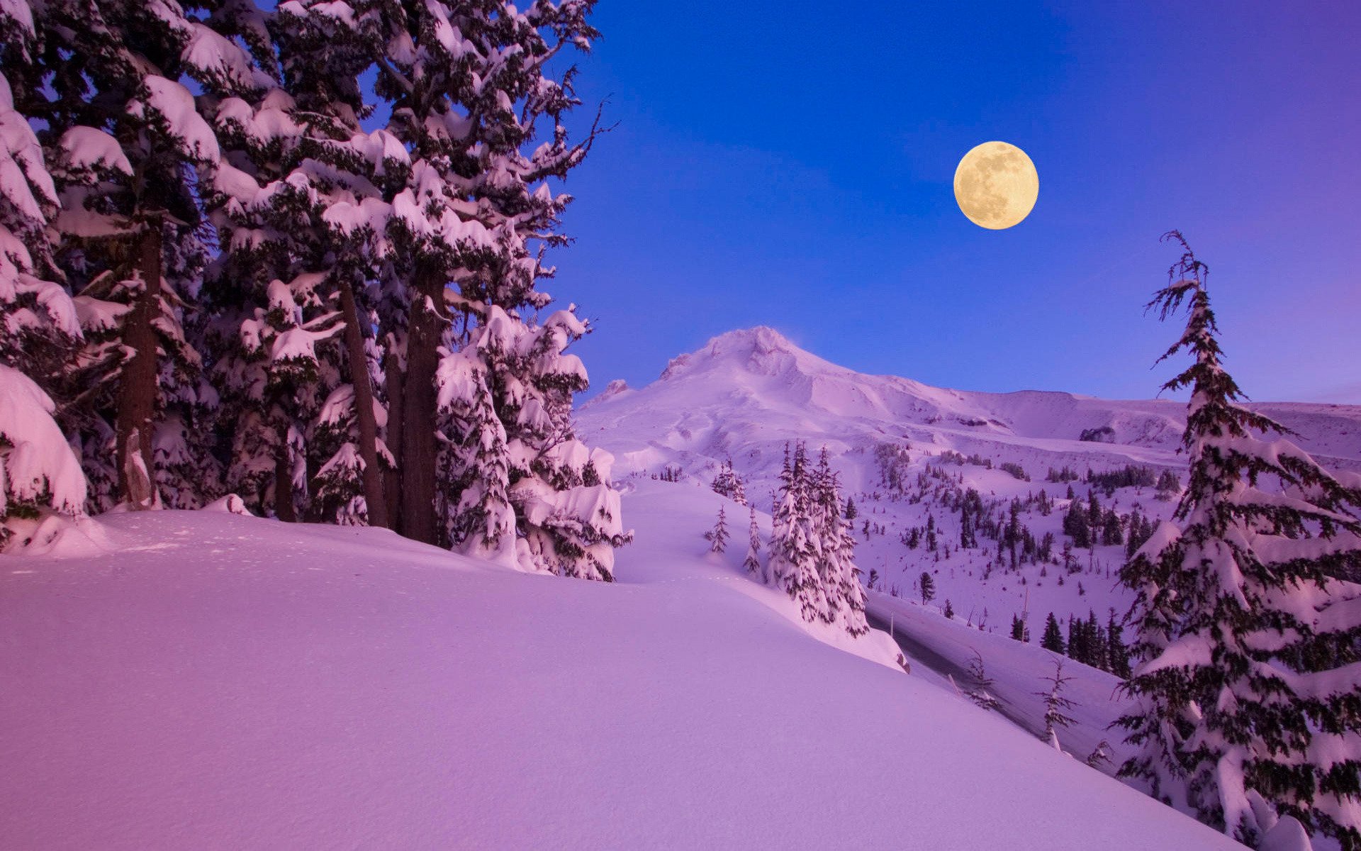 naturaleza invierno nieve montañas bosques árboles noche luna mes