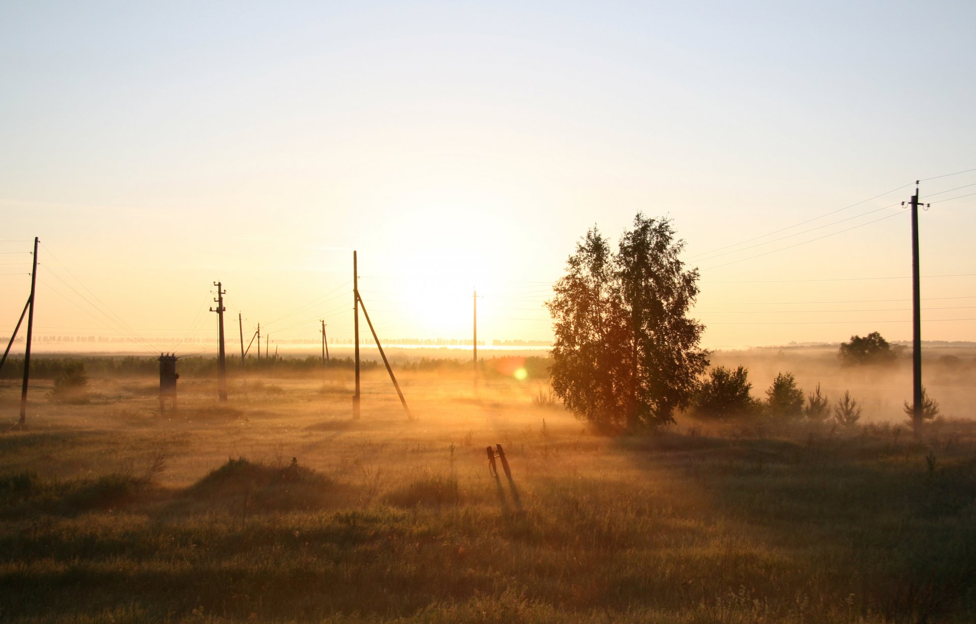 naturaleza niebla amanecer mañana campo rusia árbol
