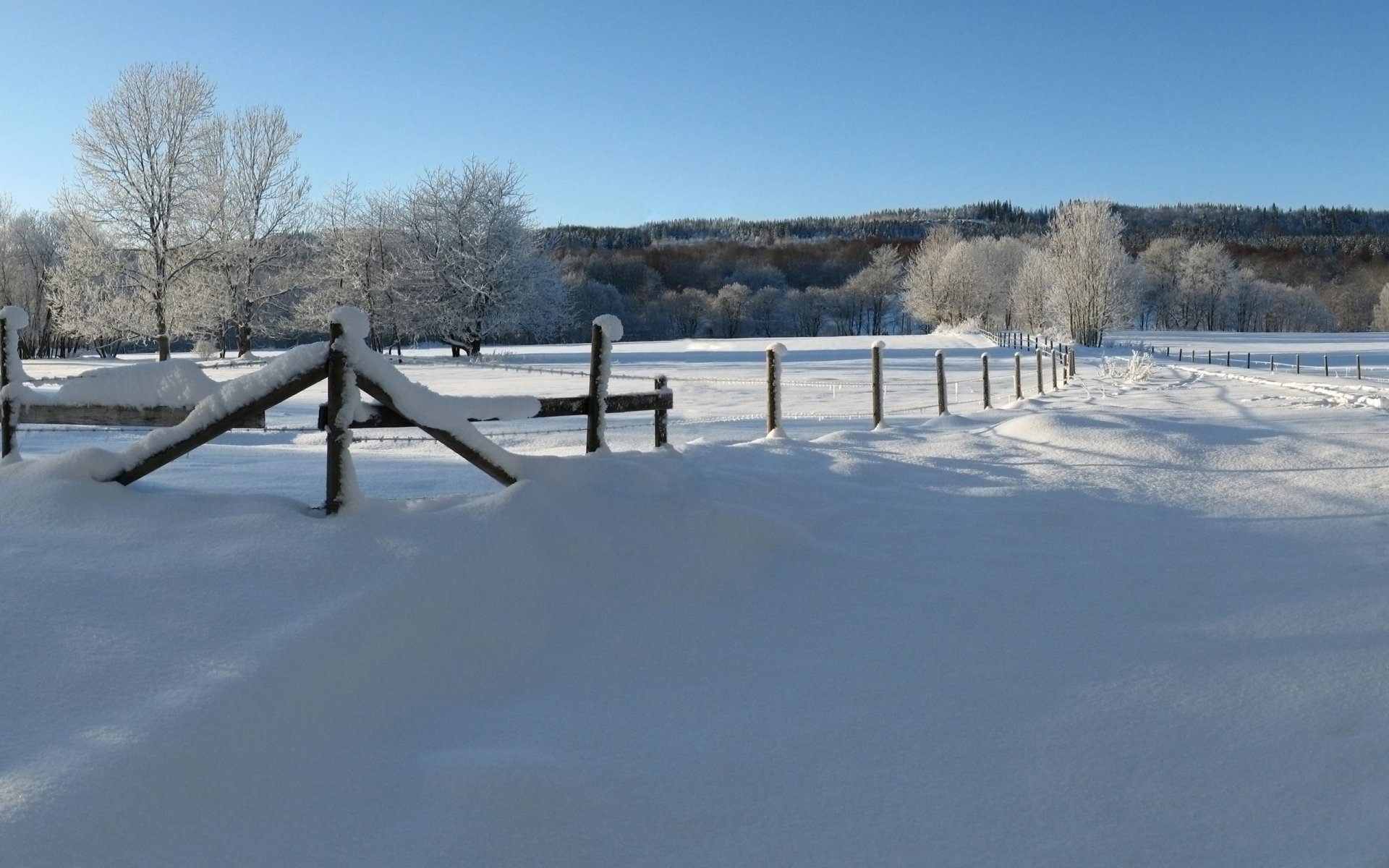 diciembre invierno nieve