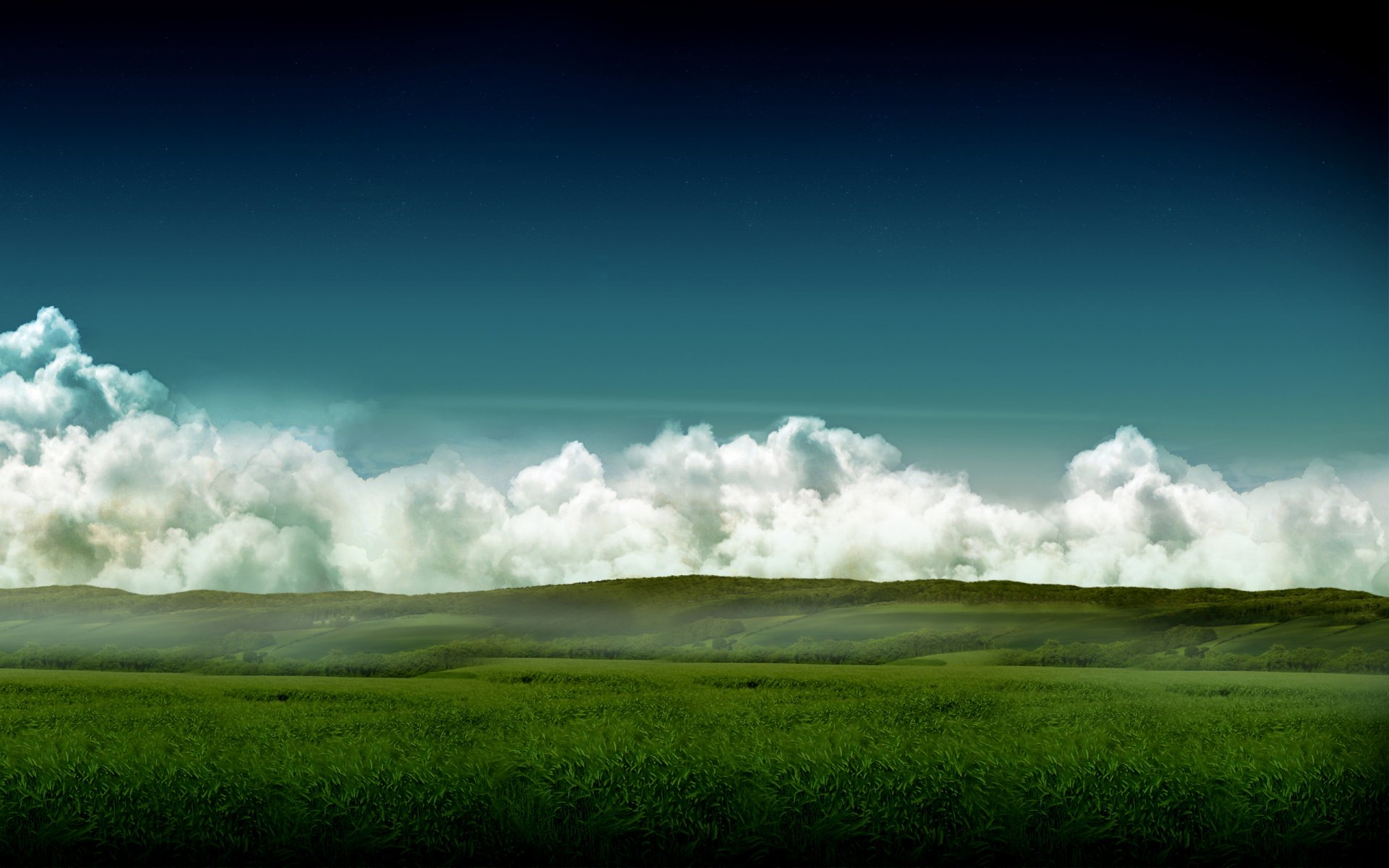cielo campo hierba