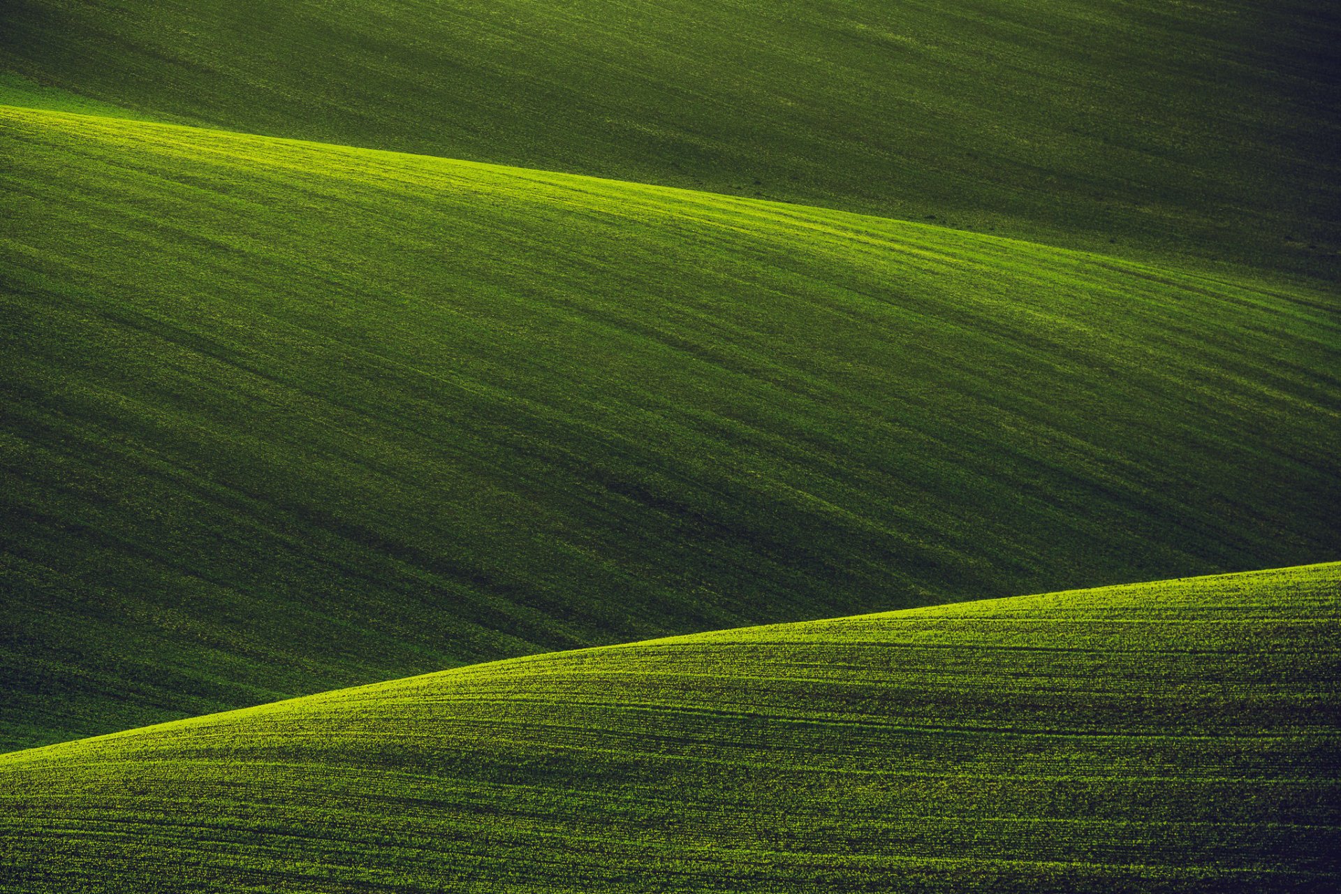naturaleza verde campos