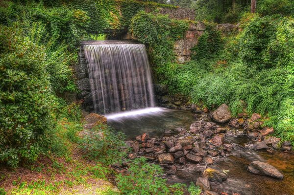 Los árboles rodean una pequeña cascada