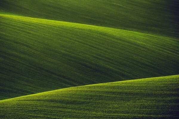 Campos verdes de naturaleza Virgen