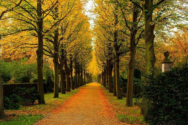 El parque de otoño atrae a la gente a pasear