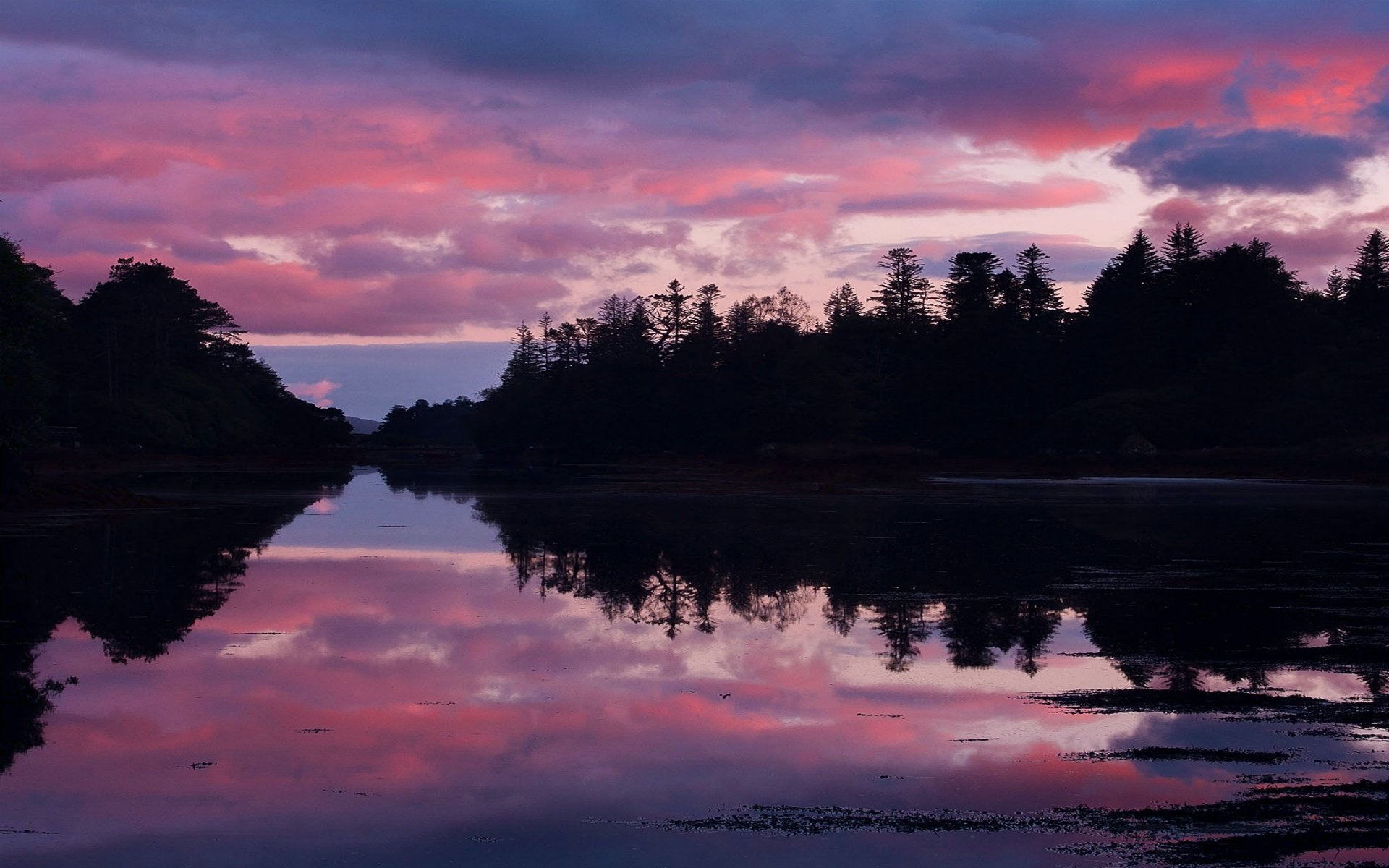 irlanda lago costa bosque árboles tarde puesta del sol cielo nubes reflexión