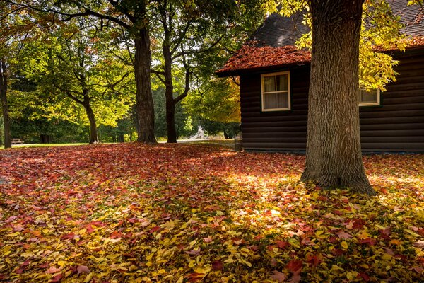 Casa acogedora en el bosque de otoño